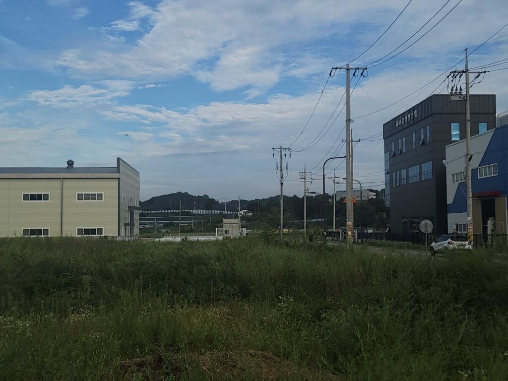 부재지주 토지 관리 잡풀이 무성한 방치된 토지