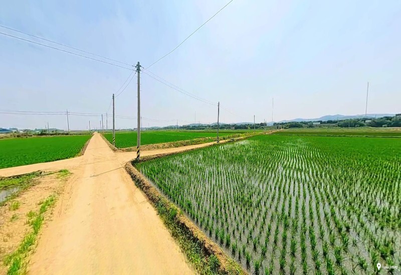 비사업용 농지 소유자 농지은행위탁 농지 사진
